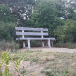 XXL Baumelbank Ditscheid