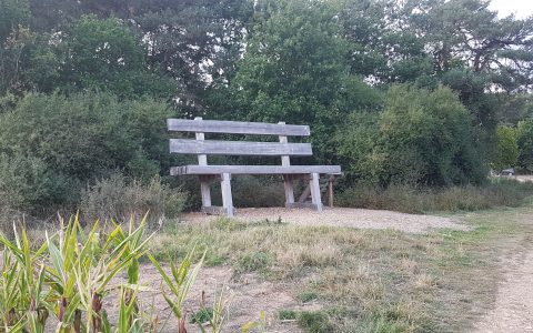 XXL Baumelbank Ditscheid